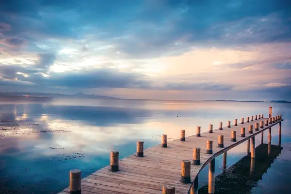 帕提亚美食攻略