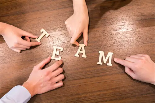 游荡者弗兰斯肯坦解读